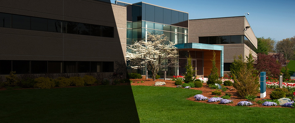 Lynn Haven Landscapers