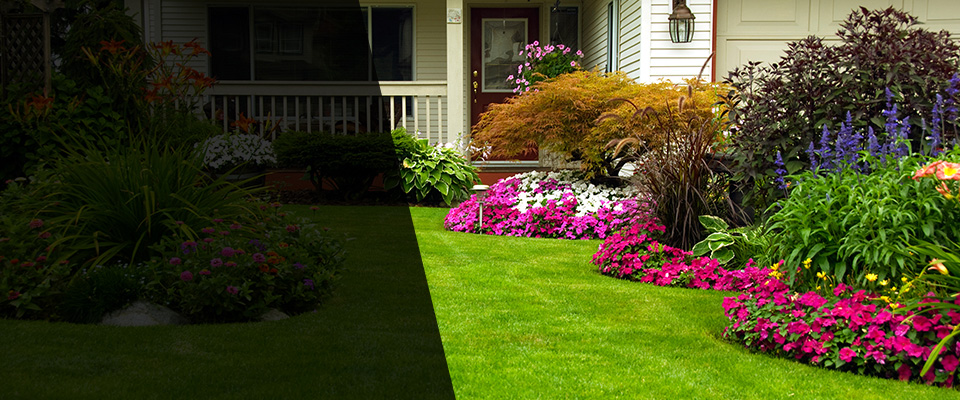 Lynn Haven Landscapers