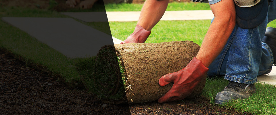 Lynn Haven Landscapers